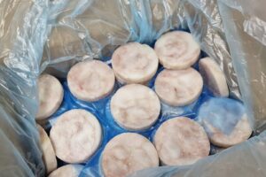 Medaliony z morszczuka argentyńskiego (Merluccius hubbsi) b/s, 100g, IQF 10%, 5kg produkcja morska Argentyna / Polska