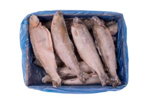 Pstrąg tęczowy (Oncorhynchus mykiss)  patroszony tusza IQF  350-400 10% glaz. 5 kg  Turcja