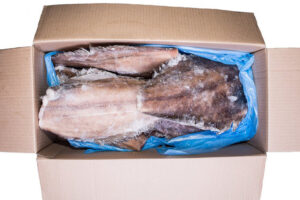 Halibut niebieski (Reinhardtius hippoglossoides) tusza 1-2 j-cut 15% glaz. 10kg Norwegia