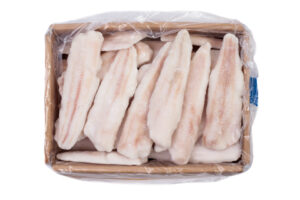 Morszczuk północnopacyficzny  (Merluccius productus) filet b/s IQF 6-8 25% glaz. lub 30% glaz. 5kg Chiny