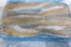 Morszczuk argentyński (Merluccius hubbsi) filet b/s SHP 60-200 21kg(3x7kg) produkcja lądowa Argentyna