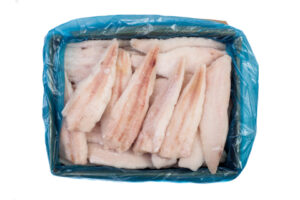 Morszczuk północnopacyficzny (Merluccius productus) filet b/s IQF 4-6 25% glaz. lub 30% glaz. 5kg Chiny
