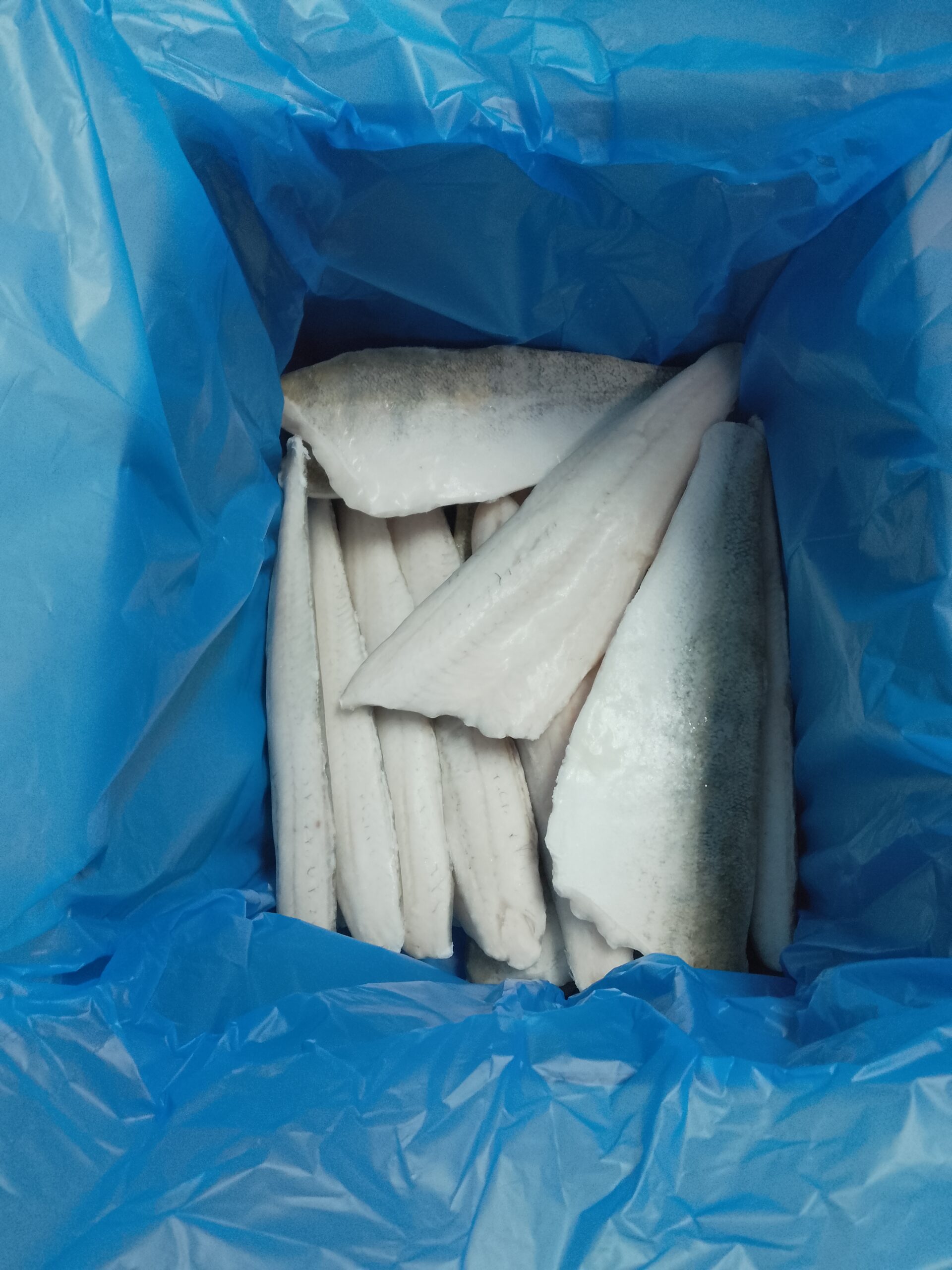 sandacz filet IQF 230-500g