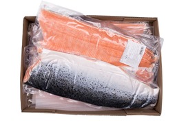 Łosoś atlantycki (Salmon salar) filet VAC z/s 0,5,0,9/1-1,4/1,4-1,8/1,8-2,2 trym C lub D  ok.10kg Norwegia