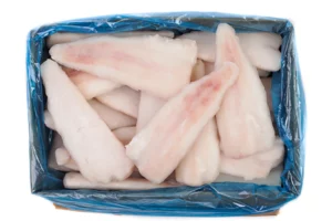 Tilapia nilowa
